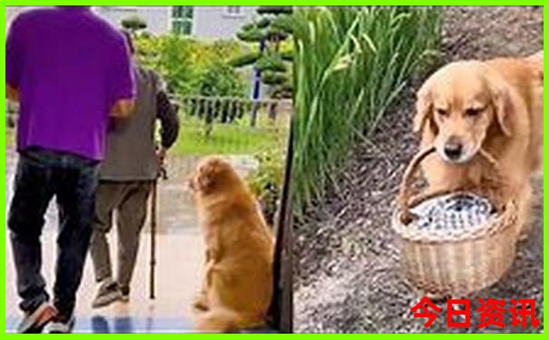 江西三天两夜旅游攻略